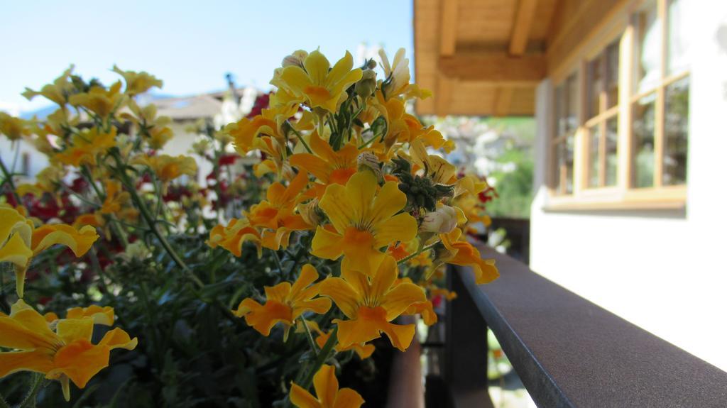 Chalet Casa Al Poz Tassullo Εξωτερικό φωτογραφία